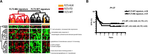 Figure 2. Hierarchic clustering supervised by PAM analysis of FLT3-MUs versus FLT3-WT in 72 diagnostic samples. In this group of patients, FLT3-MU is not a universal prognostic factor of poor outcome because of the IR/R/CCR outcomes in WT and MU FLT3 signature groups. (A) Hierarchic clustering defined by PAM analysis did not include any known genes related to the FLT3 receptor signal transduction pathway. There are 6 samples with the FLT3-WT receptor that have a gene expression profile similar to that of FLT3-MU signature, independent of the FLT3 receptor genotype. One FLT3-ITD also has a gene expression profile similar to FLT3-WT signature, independent of the FLT3 receptor genotype. (B) Pairwise comparison of FLT3-MU versus FLT3-WT shows a trend for different EFS, but it does not achieve statistical significance defined by mutation status or gene expression signatures.