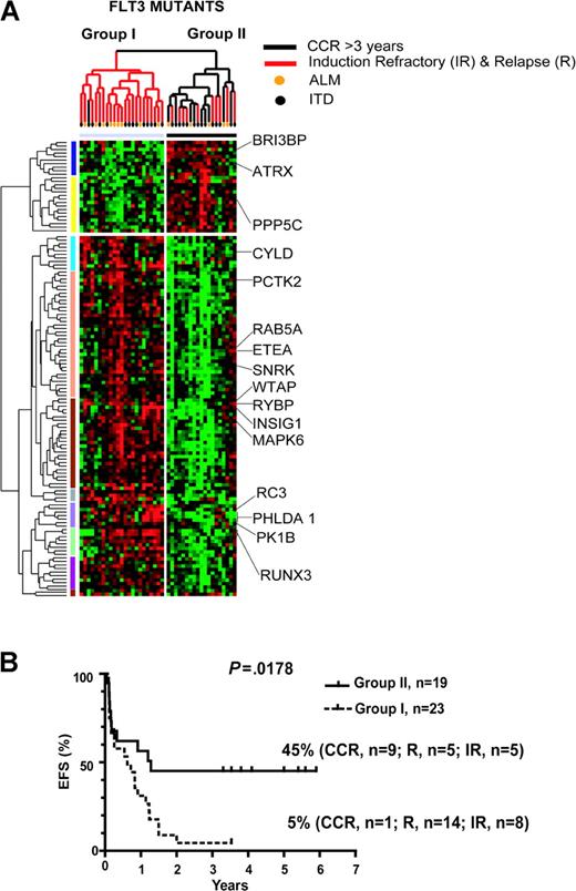 Figure 3. Hierarchic clustering FLT3-MU samples supervised by clinical outcome: induction refractory and relapse (Group I) versus continuous complete remission (Group II). (A) Hierarchic clustering based on PAM analysis that differentiates FLT3-MUs with inferior (Group I) versus superior (Group II) clinical outcome. PAM analysis of FLT3-MU samples was supervised by clinical outcome, and the analysis identified several genes involved in transcriptional regulation of gene expression. RUNX3 and ATRX genes, 2 known transcriptional regulators, were selected by PAM and SAM as differentially expressed between FLT3-MU with inferior (Group I) and superior (Group II) clinical outcomes. (B) The statistically different EFS between FLT3-MUs with different gene expression signatures (Group I signature vs Group II signature).