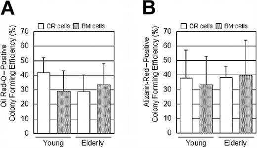 Figure 7. Progenitor assay: CR cells and BM cells were cultured in complete culture medium for 14 days, and then medium was switched to adipogenic medium or calcification medium for an additional 21 days at primary culture. The ratio of Oil Red-O- or Alizarin Red-positive colonies to the total number of colonies was calculated for each dish and Oil Red-O-positive colony efficiency (A) and Alizarin Red-positive colony efficiency (B) are shown. The data are expressed as mean ± SD (n = 6).