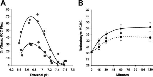 Figure 7. Effect of DTT on KCC activation by acid pH in SS RBCs. (A) Rb influx activated by pH in SS RBCs with (•) and without (♦) preincubation with DTT. Fluxes are normalized to the Rb influx measured in cells from the same sample adjusted to MCHC lower than 270 g/L (27g/dL). Data from 2 independent experiments with separate donors. Curve is the best-fit third-order polynomial. (B) Regulatory volume decrease upon incubation at pH 7.0 in SS reticulocytes with initial MCHC of 300 g/L (30 g/dL); data from 3 separate donors independent of experiments in panel A. Error bars indicate standard deviation.