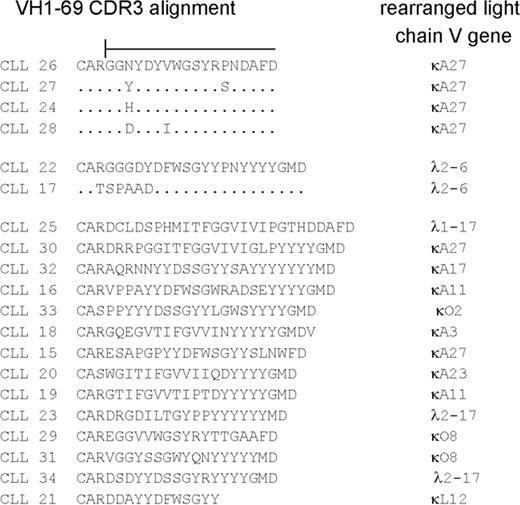 Figure 3. Alignment of HCDR3 amino acid sequences obtained from 20 VH1-69 using rearrangements. The VL gene usage in each case is indicated to the right. A dot indicates homology with the top sequence. The 4 VH1-69/D3-16/JH3 and the 2 VH1-69/D3-3/JH6 rearrangements are aligned to the top sequence in respective group, whereas the amino acid sequences from the remaining VH 1-69+ sequences are presented without alignment.
