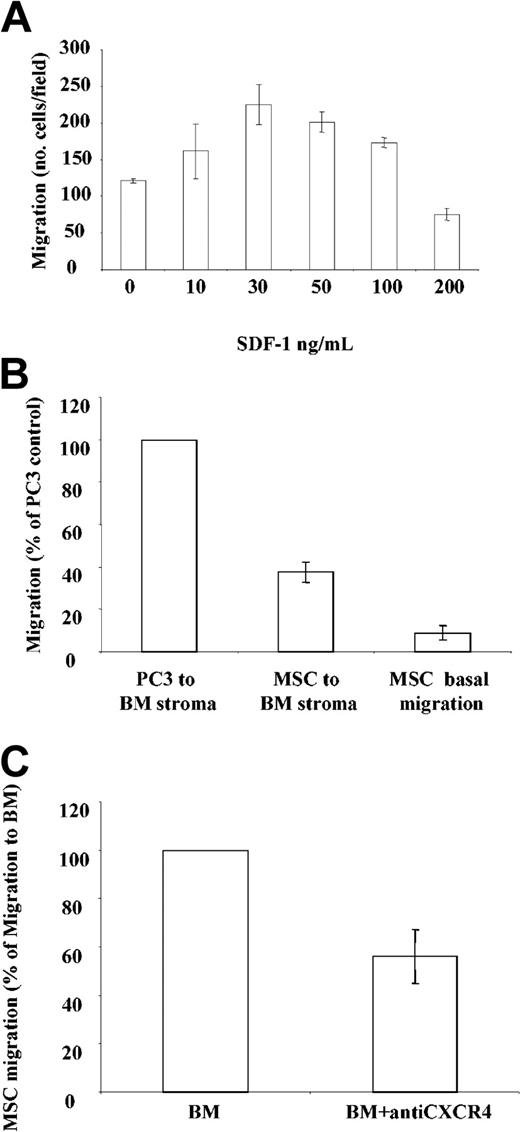 Figure 2. Chemotactic properties of MSC cultures. (A) Migration of MSCs in response to SDF-1. Results shown are from a representative experiment and are expressed as the average number of migrated cells in 5 fields examined. Each sample was run in duplicate. (B) Migration of MSCs and the prostate line PC3 to bone marrow, expressed as a percentage of PC3 migration. (C) Migration of MSCs to bone marrow in the presence of anti-CXCR4 (expressed as % of migration to bone marrow). All data shown are expressed as mean ± SEM.