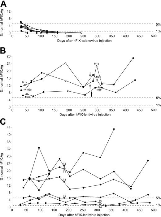 Figure 1. Plasma hFIX:Ag concentrations in mice after prenatal intravascular injection. At 16 days' gestation, fetal hemophilic mice (A-B) or outbred normal MF1 mice (C) were injected intravascularly with hFIX adenovirus (A) or hFIX lentivirus (B-C). Monthly blood samples were collected into citrate buffer for plasma analysis of hFIX concentrations. Open symbols indicate sampling times for FIX:C assay (A-B) or liver biopsy and blood collection for liver enzyme analysis (C). Labels T1-T6 correlate hFIX:Ag with immunohistochemistry shown in Figure 2. The arrows indicate the time at which hemophilic mice were immune challenged with hFIX in adjuvant. Dashed lines indicate approximate equivalences to percentages of normal human hFIX:Ag plasma levels.