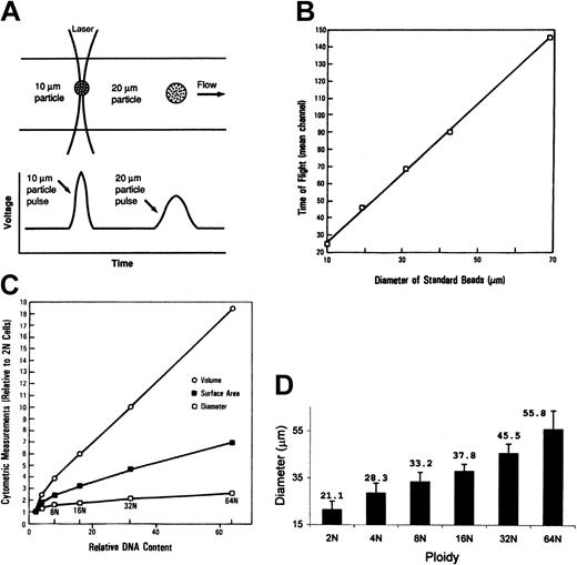 Figure 3. Relationship of cell size measured by time-of-flight and ploidy. (A) Time-of-flight is the time required for a cell in suspension to pass through a focused light beam, as measured by the pulse width. This measurement is proportional to the cell diameter as illustrated (adapted from Shapiro21). (B) Relationship between time-of-flight measurement and particle diameter. Small-angle light scatter of standard beads (10-70-μm diameter) was detected by flow cytometry, and the pulse width was measured. The solid line represents the linear regression (r = 0.99). (C) Cell diameter, surface area, and volume of normal human MKs. The derived cell surface areas and volumes were calculated, assuming sphere-shaped particles. (D) Relationship between cell diameter, measured by time-of-flight, and ploidy of normal human marrow megakaryocytes (n = 19). Data are mean ± SD.