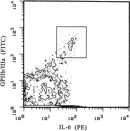 Figure 6. Expression of surface membrane receptor for IL-6. The expression of the receptor is assessed by the binding of PE-labeled human-recombinant IL-6 (FL2). MKs are identified by simultaneous labeling with LJ-P4 MoAb directed to the membrane CD41 (GPIIb/IIIa complex). MKs (marked with a box) exhibit an enhanced double fluorescence compared with other marrow cells.