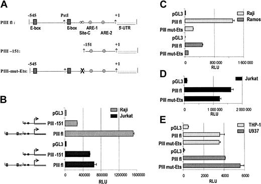 Figure 1. Identification of regulatory regions that are involved in B cell-specific activation of CIITA-PIII. (A) Schematic representation of the CIITA-PIII-derived reporter plasmids PIIIfl, PIII-151, and PIII-mut-Ets. Indicated are the 2 E-boxes, Site-C comprising the EICE, ARE-1, ARE-2, and the 5′-UTR. (B) Transient transfections of reporter plasmids pGL3 basic, PIIIfl, and PIII-151, which harbor a deletion as depicted in panel A, were performed in Raji B cells and Jurkat T cells. Transient transfection of reporter plasmids pGL3 basic, PIIIfl, and PIII-mut-Ets were performed in Raji and Ramos B cells (C), Jurkat T cells (D), and THP-1 and U937 monocytic cell lines (E). B and T cells were harvested after 48 hours and monocytic cells after 24 hours and analyzed for luciferase activity. Luciferase activity values were normalized with Renilla luciferase activity values and represent the means of 3 experiments. Error bars indicate SEM.