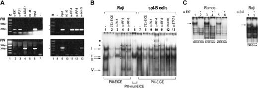 Figure 3. In vivo and vitro interactions of the EICE and E-boxes of CIITA-PIII in B cells. (A) ChIP analysis of CIITA-PIII and CIITA-PIV in Raji B cells with antisera specific for E47 (lane 2), PU.1 (lane 3), STAT-1 (lane 4), IRF-4 (lane 11), IRF-8 (lane 12), and ac-H3 (lane 13). PCR products specific for both CIITA-PIII (top panels) or CIITA-PIV (bottom panels) are indicated. PCR products obtained with input DNA are shown in lanes 6 and 9, and PCR products obtained without the addition of a primary antibody are shown in lanes 5 and 10. The 1-kb marker and the negative water control are indicated in lanes 1, 7, and 8, respectively. (B) EMSA with NE derived from Raji B cells (lanes 1-6) and splenic B cells (lanes 7-12). EICE-interacting factors were visualized using the CIITA-derived PIII-EICE as a probe and compared to the pattern obtained with a PIII-mut-EICE encoding probe. Supershift antibodies and competition probe are indicated on the top of each plot, and supershifts were performed with antibodies specific for PU.1 (lanes 3 and 9), IRF-4 (lanes 4 and 10), IRF-8 (lanes 5 and 11), and STAT-1 (lane 13). Competition was performed using a 3′Eλ-EICE probe (lanes 2 and 8) that encodes the consensus EICE sequence of the 3′Eλ2-4 and the PIII-CRE (ARE-2 motif) probe (lane 12), as described previously.19,21 Supershifted complexes are indicated with an asterisk, and complexes reduced or eliminated after incubation with the PU.1 are indicated by arrows I-IV, of which complexes II and III are also reduced after incubation with IRF-4/8 specific antibodies. (C) EMSA analysis for E-box-interacting factors were performed using a consensus E-box (cons-E-box) and both E-box motifs of CIITA-PIII (473-E-box and 298-E-box) as probes with NE extracts derived from Ramos B cells and Raji B cells. Supershift analysis with E47-specific antibody is indicated on the top of the plots, and E47 complex is indicated with an arrow. Probes are indicated below all EMSA plots.
