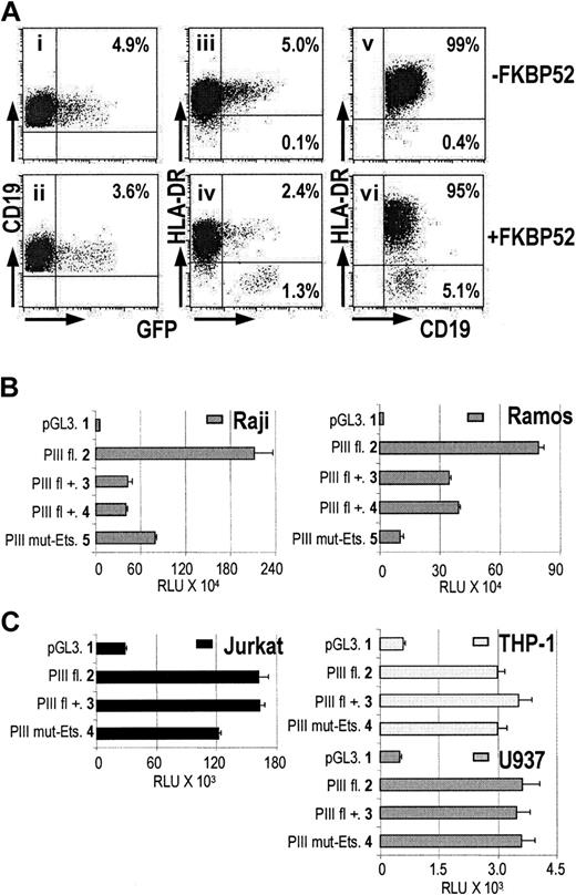 Figure 4. Inhibition of IRF-4 by FKBP52 specifically reduces CIITA-PIII activity in B cells and abolishes HLA-DR expression in primary B lymphocytes. (A) CD19+-enriched B cells were transfected with EGFP with either addition of empty expression vector (i,iii) or addition of FKBP52 (ii,iv), respectively. (v-vi) Transfections without EGFP but solely with empty expression vector (v) or FKBP52 (vi). FACS analysis was performed after 18 hours of transfection, and in all plots cells are gated for CD19 expression and lymphocyte-specific cell scatter pattern. Cells were stained as described in “Materials and methods” and expression of CD19, EGFP, and HLA-DR is indicated on the axes. (B-C) Transient transfection of CIITA-PIII reporter plasmids pGL3 basic, PIIIfl, and PIII mut-Ets were performed in (B) Raji and Ramos B cells, and (C) Jurkat T cells, THP-1, and U937 monocytic cell lines. Five and 10 μg FKBP52 expression plasmid was added to the B cells (PIIIfl+), panel B, lanes 3 and 4, respectively, and 10 μg FKBP52 expression plasmid was added to the Jurkat T cells (PIIIfl+), THP-1, and U937 monocytic cell lines (PIIIfl+) panel C, lane 3. B and T cells were harvested after 48 hours and monocytic cells after 24 hours and analyzed for luciferase activity. Luciferase activity values were normalized withRenilla luciferase activity values and represent the means of 3 experiments.