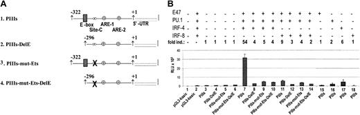 Figure 6. E47, PU.1 and IRF-4 synergistically activate CIITA-PIII in HeLa cells in a site-dependent manner. (A) Schematic representation of all CIITA-PIII reporter constructs tested. E-boxes and Site-C are indicated, and the mutated Ets-box of Site-C is depicted by an X. (B) The different mutant CIITA-PIII reporter constructs depicted panel A were cotransfected with expression plasmids coding for E47fd, PU.1, and IRF-4 or IRF-8 into HeLa cells as indicated. Cotransfections of PIIIs with expression plasmids coding for either E47fd, PU.1, IRF-4, or IRF-8 are indicated in lanes 15 to 18. Fold induction is indicated as “fold ind.” on top of panel B. HeLa cells were harvested after 48 and analyzed for luciferase activity. Luciferase activity values were normalized with Renilla luciferase activity values, and relative luciferase activities are indicated as mean SD of n = 4.