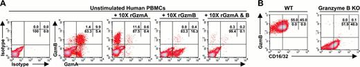 Figure 1. Antibodies against human granzyme A or B show specificity in recombinant protein competition assays and in knock-out cells. (A) Competition assays with 10-fold molar excess of recombinant granzyme (rGzm) A and/or granzyme B demonstrate anti-granzyme A and B antibody specificities in unstimulated healthy human PBMCs. (B) Anti-granzyme B antibody specificity in wild-type (WT) murine LAKs versus granzyme B knock-out (KO) LAKs. Percentages of total cells for each quadrant are indicated in the upper right corner of each subpanel.