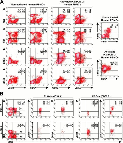 Figure 2. Single-cell analysis for granzymes A and B demonstrates discordant expression in activated human PBMC subsets. (A) Representative FACS analysis for intracellular granzyme A and B expression in unactivated and activated (ConA/IL-2 for 5 days) healthy human PBMCs. Lineage-specific (CD4, CD8, and CD56) and nonlineage (CD25) surface markers are shown. (B) Representative FACS analysis for granzyme A and B expression in resting CD56+CD8+ T-cell and CD56+CD8- NK cell subsets from 2 different donors. Data are representative of 6 or more healthy donor samples with similar expression patterns. Percentages of total cells in each quadrant are indicated in the upper right corner of each subpanel.