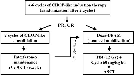 Figure 1. Design of the trial. bw indicates body weight.