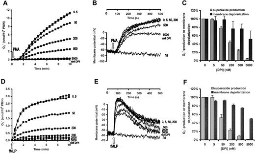 Figure 2. Effect of DPI on superoxide production and membrane depolarization in human neutrophils. Neutrophils were pretreated with the indicated concentration of DPI for 3 minutes and subsequently stimulated with 100 nM PMA (A-C) or 1 μM fMLP (D-F). (A,D) Superoxide production was measured by cytochrome c reduction. (B,E) Membrane potential of nonstimulated cells is indicated by “ns.” (C,F) Data are expressed as percentage of the value obtained in the DPI-free samples. In panel C, the mean ± SEM of 11 (superoxide production) and 5 (membrane depolarization) independent experiments are summarized, whereas panel F represents the data of 3 independent experiments.
