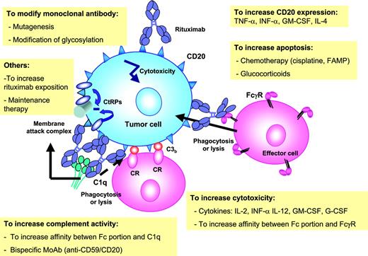Figure 4. Main mechanisms of action of rituximab and ways to increase its clinical efficacy. FAMP indicates fludarabine monophosphate; CR, complement receptor.