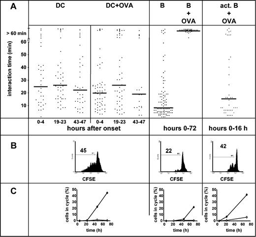 Figure 2. The duration of APC-T contact does not correlate with APC effectiveness. Naive DO11.10 T cells were embedded in 3-D collagen matrices together with different APCs, labeled or not with OVA peptide. (A) Cell movements were recorded by time-lapse video microscopy, and the duration of individual T cell-APC contacts was analyzed. Each dot represents one observed contact. Bars represent the median. Dots at more than 60 minutes are cell pairs that have been observed for more than 60 minutes without releasing the contact. Data are pooled from 4 independent experiments (or 2 experiments, for activated B cells). (B) T-cell proliferation within such gels was analyzed by CFSE down-regulation after 72 hours of coincubation in the presence of antigen followed by collagenase digestion of the gels. The numbers indicate the percentage of cells that have undergone one or more divisions. (C) The kinetics of T-cell proliferation was studied by CFSE-dilution analysis. To this end, CFSE-labeled DO11.10 T cells were embedded together with APCs in 3 individual gels at time point 0. After 24, 48, and 72 hours gels were digested and analyzed for dilution of CFSE. All data were gated on CD4+ cells, which were identified by simultaneous staining with an anti-CD4 antibody. Open symbols indicate APCs without OVA; closed symbols, APCs with OVA. Data are representative of 5 experiments performed (activated B cells 2).