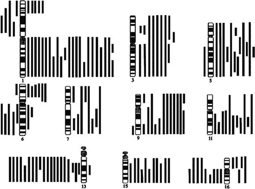 Figure 1. Summary of genomic changes detected by CGH in the most frequently affected chromosomes. Lines on the right side of the ideograms indicate gains of chromosomal material. Lines on the left side indicate losses of chromosomal material.