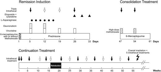Figure 1. Schema of remission induction, consolidation treatment, and continuation therapy for the first year. Solid arrows indicate triple intrathecal treatment that was administered to all patients and open arrows, additional doses that were administered to patients with an increased risk of CNS relapse. Cranial irradiation plus 5 triple intrathecal treatments were administered only to patients with T-cell immunophenotype and an initial leukocyte count of 100 × 109/L or more or a CNS-3 status. Other details are provided in “Patients, materials, and methods.”