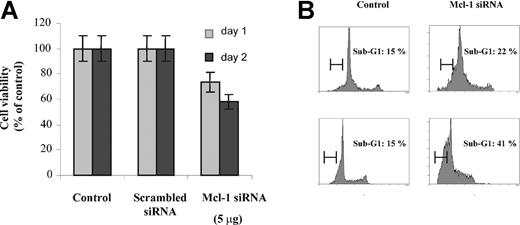 Figure 5. Down-regulation of Mcl-1 by Mcl-1 siRNA induces apoptosis in MM cells. (A) Mcl-1 down-regulation by Mcl-1 siRNA induces cytotoxicity. MM1s cells (2 × 104 cells per well) were transfected with Mcl-1 siRNA or scrambled siRNA (5 μg), followed by culture for 24 and 48 hours in 96-well plates. MM1s cell survival was determined at 24 and 48 hours by MTT assay. Results shown are percentage of viability compared with control. Error bars indicate standard deviation. (B) Mcl-1 down-regulation by Mcl-1 siRNA induces apoptosis. Cell cycle analysis was performed at 24 and 48 hours (top row and bottom row, respectively) following transfection with Mcl-1 siRNA or scrambled siRNA (5 μg) (right column and left column, respectively). A sub-G1 peak represents apoptotic cells. Shown is 1 representative experiment of 3.