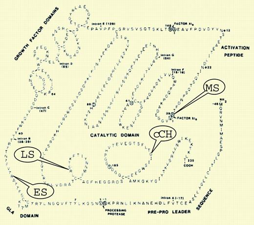 Human FIX transgenes expressed in mice. See the complete figure in the article beginning on page 2767.