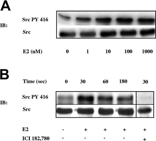 Figure 1. 17β-E2–dependent Src kinase activation. (A) Gel-filtered platelets were incubated with buffer or with increasing concentrations of 17β-E2 (E2: 1, 10, 100, and 1000 nM) for 30 seconds. (B) Gel-filtered platelets were incubated with buffer or with 100 nM 17β-E2 (E2) for increasing times (0, 30, 60, and 180 seconds.) Platelets were lysed, and identical aliquots from each sample were simultaneously analyzed by immunoblotting with specific antibodies against pSrc-Tyr416 (Src PY 416) or against Src. Platelet stimulation with 100 nM 17β-E2 for 30 seconds was performed in the presence of 10 μM ICI 182 780, an ER antagonist. Results are representative of those of several different experiments.