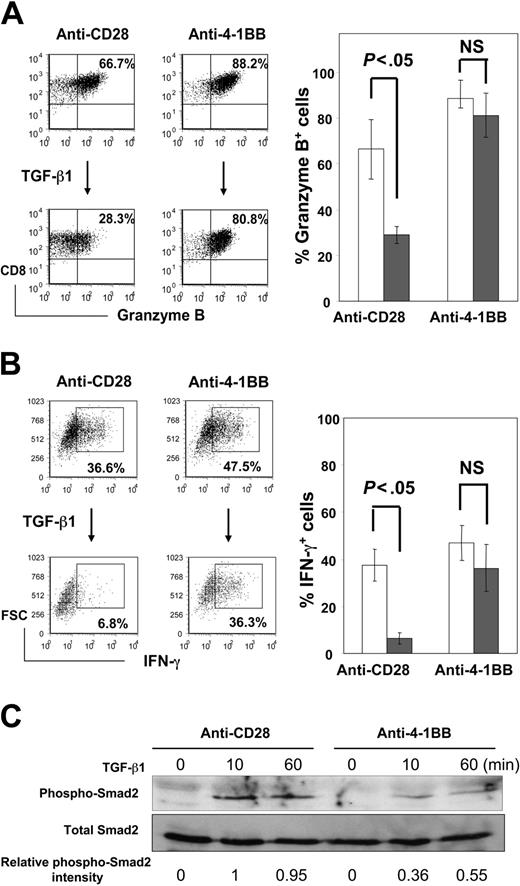 Figure 2. Anti-4-1BB costimulation restores TGF-β1-suppressed expression of granzyme B and IFN-γ. IL-15-stimulated CD8+ T cells were activated with plate-coated anti-CD3 (1 μg/mL) plus anti-CD28 (10 μg/mL) or anti-4-1BB (10 μg/mL) in the presence (filled bars) or absence (open bars) of TGF-β1 (10 ng/mL) for 3 days. Cells were analyzed for intracellular expression of granzyme B (A) and IFN-γ (B) by 2-color immunostaining. Granzyme B and IFN-γ levels were plotted against CD8 and FSC, respectively. Means ± SD of percentage of granzyme B+ and IFN-γ+ cells from 3 separate experiments are shown in the histograms. P values are shown between cells treated with and without TGF-β1 in the presence of anti-CD28 or anti-4-1BB. (C) IL-15-stimulated CD8+ T cells were costimulated with anti-CD28 or anti-4-1BB for 3 days as in panels A and B and then treated with TGF-β1 (10 ng/mL) for 0, 10, and 60 minutes. Phosphorylation of Smad2 induced by TGF-β1 was detected by Western blot using phospho-Smad2-specific antibody. Equivalent total amounts of Smad2 levels in each sample were demonstrated by reprobing the stripped same blot with the Smad2-specific antibody. One representative result of 2 experiments with similar results is shown. Relative phospho-Smad2 intensities are shown as relative numbers normalized to 0 and 1 for anti-CD28 costimulated cells treated with TGF-β1 for 0 and 10 minutes, respectively, as described in “Materials and methods.”