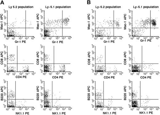Figure 3. Flow cytometric comparison of lineage expression by Ly-5.2 and Ly-5.1 cells of a representative Fli-1-/- chimeric mouse. Analyses of PB (panel A) and BM (panel B) nucleated cells are shown.