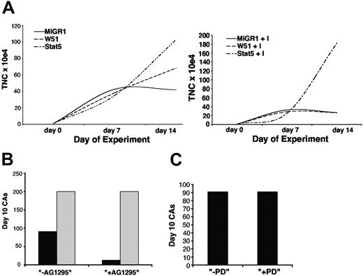 Figure 5. Early CAs in MS-5 coculture are mediated by the Flt3-ITD. Transduced CB-CD34+ cells expressing the MIGR1 control, W51 Flt3-ITD, and a constitutively activated Stat5 mutant (Stat5A1*6) were plated in triplicate MS-5 cocultures, with weekly evaluation of nonadherent cell expansion in control cultures (A) and in cultures supplemented with 10 μM AG1295 (Flt3-RTK inhibitor) every 48 hours. Day-10 CAs were enumerated for each set of cultures (B). Parallel MS-5 coculture experiments were also performed with W51 Flt3-ITD cells in the presence of 10 μMof the c-kit RTK specific inhibitor, PD16, demonstrating no effect on early CAs (C). TNC indicates total nucleated cell.