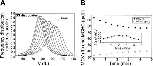 Figure 4. Time-dependent shifts in the volume distribution and in MCV and MCHC of SS discocytes during Ca2+-induced dehydration. (A) Volume distributions (V) during Ca2+-induced dehydration. Arrow indicates the time direction of displacement of the curves. Time intervals from the initial curve correspond to those shown for the MCV and MCHC points on the time-abscissa of the bottom panel. (B) MCVs (in femtoliters; •) and MCHCs (in g/dL; ○) are plotted as a function of time after A23187 addition to illustrate the inverse MCV-MCHC changes during Gardos-channel-mediated dehydration. (Inset) Change in SD of the volume distribution with time after A23187 addition. Notice the difference in the scale of the SD of MCV data compared with that in Figure 2B, indicating a much wider range of RBC volumes in this SS cell fraction than in the AA cells.
