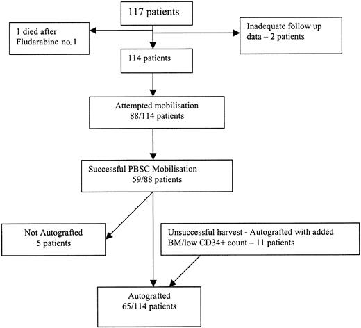Figure 1. Flowchart outlines treatment sequence for 117 patients enrolled in the study.