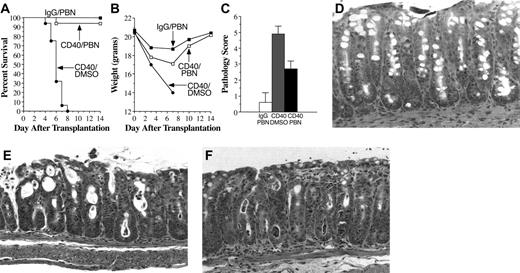 Figure 1. PBN prevents lethality and attenuates colonic tissue damage after anti-CD40 antibody administration in syngeneic bone marrow transplant recipients. (A) Lethally irradiated (1000 cGy) B6 mice received transplants of B6 BM cells and were then treated with either rat IgG (▪, n = 10) or anti-CD40 antibody (8 μg/d) for 4 days beginning on day one after transplantation. Mice treated with anti-CD40 were administered either PBN (□, n = 16) or DMSO (•, n = 16) twice daily for 6 days beginning on the day of BMT. Actual survival is depicted. Data are cumulative results from 4 independent experiments. Statistics: P < .001, for IgG/PBN (▪) versus CD40/DMSO (•) and CD40/PBN (□) versus CD40/DMSO (•); P = not significant (NS), for IgG/PBN (•) versus CD40/PBN (□). (B) Mean weights of mice depicted in panel A. (C) Lethally irradiated B6 mice received transplants of B6 BM cells and then administered either IgG/PBN (n = 6; open bar), CD40/DMSO (n = 10; shaded bar), or CD40/PBN (n = 9; solid bar). Mice were killed on day 4 after BMT after the completion of anti-CD40 treatment. Tissue samples of the colon were obtained and graded using a pathology score as described in “Study design.” Data are presented as the mean histologic score ± SEM in colons of individual mice. Data are cumulative results from 2 independent experiments. (D-F) H and E stains of colonic tissues obtained from recipients 4 days after transplantation (original magnification, × 200). (D) IgG/PBN-treated mouse showing normal-appearing colonic tissue with intact crypts lined by mucin-filled enterocytes. (E) CD40/DMSO-treated mouse with extensive degenerative changes in surface-lining enterocytes and significant loss of goblet cells. Crypts have become cystic and contain cellular debris and neutrophils. (F) CD40/PBN-treated mouse with colonic mucosa showing increased mitotic activity of lining epithelial cells. In comparison with panel E, there is reduced loss of mucin in enterocytes and significantly less cellular debris in the crypt lumens. Microscope used was a Nikon Eclipse E400, with a Nikon Plan APO 10×/0.45 lens, and a Zeiss Axiom camera. Software used included Axiovision 3.0.6 SPZ.