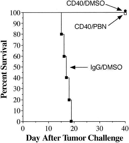 Figure 3. PBN does not compromise the antitumor effects of agonistic CD40 antibody. B6 mice (n = 5/group) were intravenously administered 107 EL4 lymphoma cells and then treated with either rat IgG/DMSO (▪) or anti-CD40 for 4 days beginning on day 3 after EL4 administration. Mice treated with anti-CD40 were administered either DMSO (•) or PBN (□) on the same 4 days (ie, days 3-6). Actual survival is depicted.