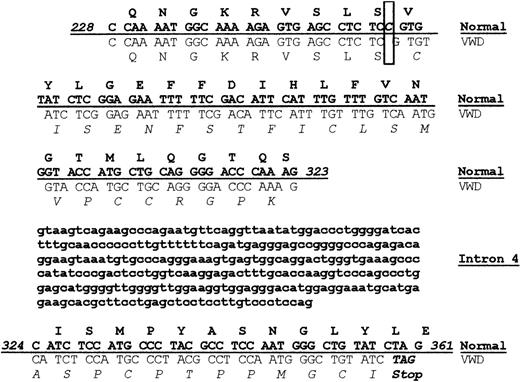 Figure 1. A homozygous frameshift mutation results in premature termination of VWF protein synthesis. Genomic DNA obtained from normal and VWD dogs was sequenced, and the 2 sequences were compared, including sequence from exon 4, intron 4, and exon 5. The protein sequence is shown above the corresponding nucleic acid sequence with normal canine sequence shown in bold font above the VWD canine sequence. A single nucleotide deletion was found in the VWD canine sequence at base pair 255 as highlighted in the box, resulting in a frameshift. The altered VWD canine protein sequence is shown in italics. The altered VWD canine nucleotide sequence results in a stop codon at base pair 359 in exon 5.