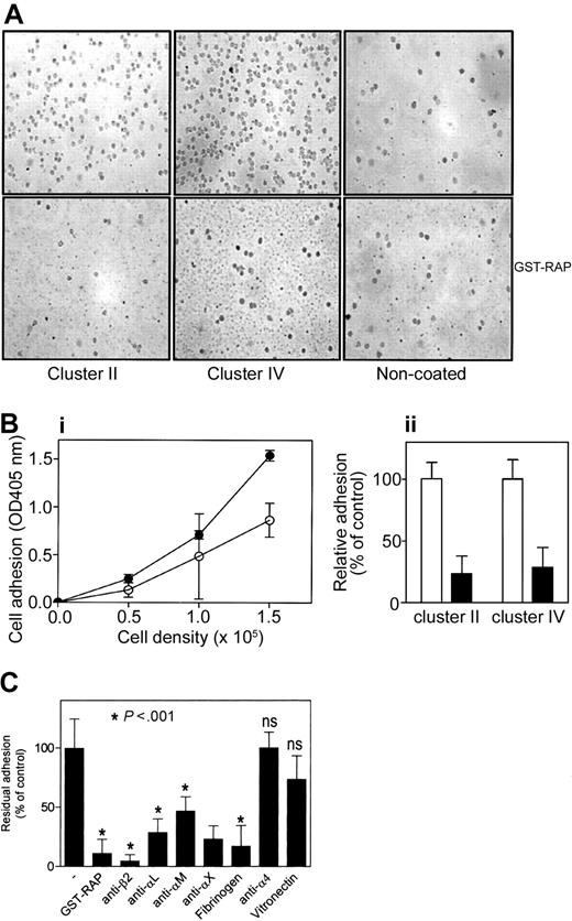 Figure 1. Adhesion of monocytes to LRP clusters II and IV. Freshly isolated monocytes were stimulated with 100 nM PMA for 15 minutes and added to immobilized LRP cluster II or IV for 30 minutes at room temperature in the presence or absence of LRP-antagonist GST-RAP (50 μg/mL). (A) Typical experiment visualized by light microscopy, in which 1.5 × 105 cells were added to each well. Original magnification, 400×. (Bi) To quantify cell adhesion, different amounts of cells (0-1.5 × 105 cells/well) were added. After incubation and subsequent washing, bound cells were lysed using 1% Triton-X100/50 mM acetic acid (pH 5.0), and endogenous alkalic phosphatase activity was determined using PNP as substrate. ○ indicates LRP cluster II; •, LRP cluster IV. (Bii) Relative adhesion in the presence (▪) or absence (□) of GST-RAP. Data are corrected for adhesion to uncoated wells (less than 20% of cluster IV coated wells) and represent mean ± SD of 3 experiments performed in duplicate. (C) PMA-stimulated U937 cells (1.5 × 106) were incubated with indicated antibodies (20 μg/mL), fibrinogen (50 μg/mL), or vitronectin (100 μg/mL) for 15 minutes, or wells were preincubated with GST-RAP (50 μg/mL) and added to immobilized IV for 60 minutes at 37°C. Adhered cells were detected as described in panel B. Presented is the percentage of adhesion relative to adhesion in the absence of antibodies or GST-RAP. Data represent the mean ± SD of 3 to 10 experiments performed in duplicate. ns indicates not significant (P > .05).