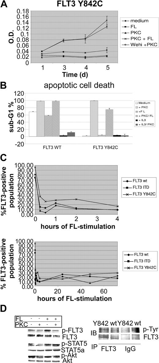 Figure 1. The FLT3-Y842C mutant is constitutively tyrosine phosphorylated and inhibits apoptotic cell death upon growth factor withdrawal. 32D cells were transfected with either pAL-FLT3-WT, pAL-FLT3-ITD, or pAL-FLT3-Y842C. (A) 32D-FLT3-Y842C cells were grown in the absence of IL-3 and incubated with PKC412 (100 nM), FL (100 ng/mL), 10% Wehi-conditioned medium, or in combinations as indicated. MTT assays were performed at several time points. Shown is 1 representative of 2 experiments. (B) 32D-FLT3-Y842C and FLT3-WT cells were treated for 48 hours as indicated and cell cycle analysis was performed. Shown is 1 representative of 2 experiments. (C) Analysis of FLT3 membrane expression by flow cytometry. 32D cells transfected with FLT3-WT, FLT3-ITD, and FLT3-Y842C were stimulated with FL (100 ng/mL) for the time points indicated. FLT3 receptor expression was determined by flow cytometry using a specific PE-conjugated anti-FLT3 antibody. (D) FLT3-Y842C mutants were treated with FL (100 ng/mL), PKC 412 (100 nM), and in combination for 15 minutes as indicated. Whole-cell lysates were prepared and analyzed by Western blot (IB). To control equal loading, the blot was stripped and reprobed with antibodies as indicated. In addition, immunoprecipitation (IP) using a specific anti-Flt3 antibody followed by Western blot analysis with an antiphosphotyrosine (p-Tyr) antibody was performed. IgG indicates immunoglobulin G. *Error bar indicates standard deviation.