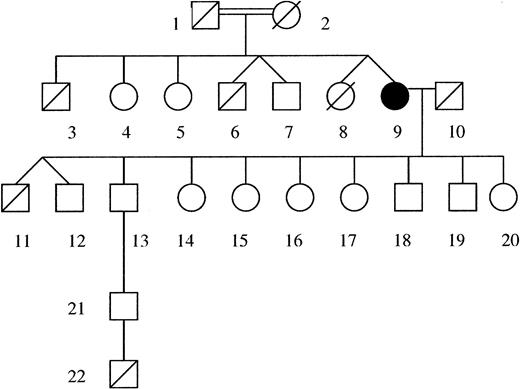 Figure 1. Pedigree of the patient and her family. The patient is indicated in black. Deceased family members are indicated with a diagonal in their symbol. Age at death of no. 3, 54 years; no. 6 and no. 8, at birth; no. 11, 3 months; no. 22, 10 days. Healthy grandchildren and great-grandchildren of the patient are not indicated.