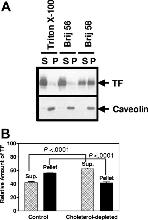 Figure 6. Tissue factor is associated with Brij 58 detergent-resistant, cholesterol-based membrane domains. (A). WI-38 cells were lysed in 0.5% of the indicated detergent for 30 minutes at 4°C, and the postnuclear supernatants were fractionated into pellets (P) and supernatants (S) by centrifugation at 16 000g for 30 minutes and analyzed by immunoblotting. (B). WI-38 cells were cholesterol-depleted with mβCD (10 mM for 30 minutes) at 37°C and subsequently lysed in Brij 58. The samples were analyzed for TF by Western blotting, and the signals were quantitated by densitometry (n = 5, mean ± SE).