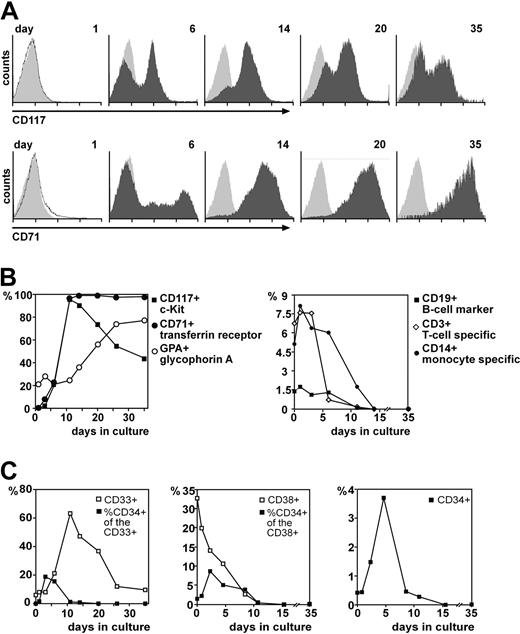 Figure 4. Progression of cell–surface marker expression in developing erythroblast cultures. Aliquots of proliferating cells were harvested at the times indicated, stained with combinations of fluorescently labeled antibodies against markers characteristic for different hematopoietic lineages and stages of development, and subjected to flow cytometry. (A) Histograms showing the changes in CD117 (c-Kit) and CD71 (transferrin receptor) expression over time. Light gray histograms, background fluorescence. (B) Quantitation (as percentage of positive cells) of erythroid (left panel) versus selected nonerythroid marker expression (right panel) during prolonged in vitro cultivation (see also supplemental Table S1). To eliminate nonspecific staining of myeloid cells by the glycophorin antibody, the fraction of cells expressing the erythroid-specific protein glycophorin A (GPA+) is expressed as percentage of transferrin receptor–positive cells. (C) Quantitation of pluripotent (CD34+; gated to be CD45dim) hematopoietic progenitors over time. The fraction of CD34+ cells within the myeloid (CD33+; left panel) and lymphoid compartment (CD38+; middle panel) is shown. Right panel shows total numbers of CD34+ cells for comparison, to depict the overall abundance of immature hematopoietic progenitors during the early phases of erythroblast culture.