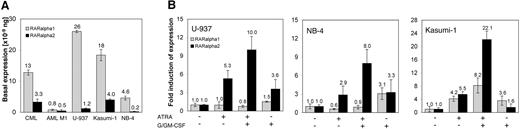 Figure 2. Induction of RARα2 expression during myelomonocytic maturation of leukemia cells. (A) Baseline expression levels of RARα1 and α2 in untreated myeloid leukemia cell lines and patient samples. Data are presented as mean (numbers above bars) ± SD from triplicates. (B) Levels of RARα1 and α2 expression 48 hours after induction with ATRA and/or G/GM-CSF compared with untreated control. The panels show the mean ± SD of one representative experiment done in triplicate. The results have been repeated in independent experiments: U937, n = 3; NB-4, n = 2; Kasumi, n = 1. Standard curves based on plasmid DNA, or concentrated samples using 2 different housekeeping genes were used to quantify the expression levels of RARα1 and α2. Negative controls without template were included in each experiment.