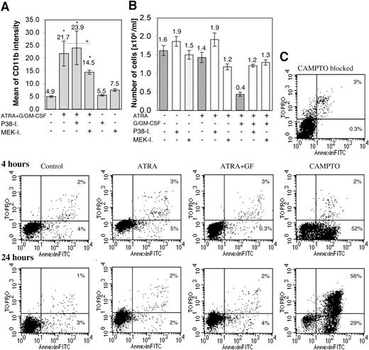 Figure 5. ATRA and GFs modulate differentiation and cell growth through MAP kinase pathways. (A) CD11b expression was detected by flow cytometry 3 days after incubation with the indicated agents. Values represent mean (numbers above bars) ± SD of 2 independent experiments done in duplicates. (B) Cells were counted 5 days after incubation with the indicated agents. Data represent mean ± SD of quadruplicate samples from one experiment, which has been repeated with a similar result. The statistical significance of differences between control and treated samples is indicated by asterisks, and between treated samples by plus symbols. ***/+++P < .001, **/++P < .01, */+P < .05. (C) Induction of apoptosis was measured by FACS after treatment of U-937 cells with ATRA and/or GFs or positive control Campthotecin (CAMPTO) for the indicated time points. Percentage of early (Annexin+, TOPRO-) and late (Annexin+, TOPRO+) apoptosis was estimated in 2 independent experiments, one of which is presented here.