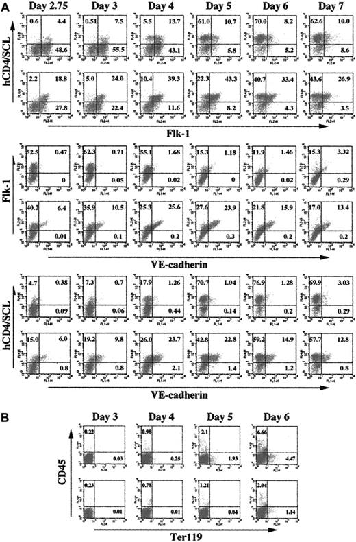 Figure 1. Kinetic analyses of Flk-1, Scl, VE-cadherin, CD45, and Ter-119 expression. In vitro–differentiated Scl+/hCD4 ES cells during EB and OP9 differentiation (from day 2.75 to day 7) were subjected to FACS analyses for Flk-1, hCD4, VE-cadherin (A) and CD45 and Ter119 (B) expression. Numbers in a given box indicate the percentage of each population. In each 2-row group of scatterplots, the top row shows EB differentiation while the bottom row shows OP9 differentiation.