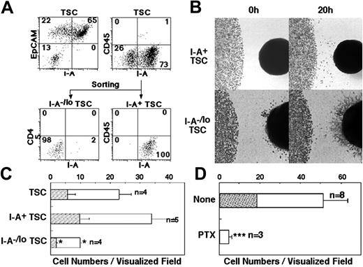 Figure 2. Cellular and molecular characterization of fetal thymus recruitment. (A) TSCs dissociated from dGuo-treated E14.5 thymus lobes were stained for I-A, CD45, and EpCAM (top panels). Numbers indicate the frequency of cells within each quadrant. TSCs were sorted into CD45–I-A+ cells and CD45–I-A–/low cells (bottom panels). (B) Representative images at indicated time points of the edge of a drop of fetal thymocytes (1 × 105) in the presence of reaggregate of CD45–I-A+ TSCs (top panels) and CD45–I-A–/low TSCs (bottom panels). Note that many fibroblast-like spikes spread out of the reaggregate of CD45–I-A–/low TSCs during culture. Original magnification is as indicated in Figure 1B. (C) Means and SEs of the numbers of E14.5 fetal thymocytes that moved out of the cell spot (□) and that reached the reaggregate of indicated cells (▨) were determined in visualized field. Numbers of independent experiments are also indicated. CD45–I-A–/low TSCs attracted a significantly smaller number of cells than CD45–I-A+ TSCs (P < .05). (D) E14.5 fetal thymocytes were treated with phosphate-buffered saline (None) or 100 ng/mL PTX at 37°C for 2 hours. Means and SEs of the numbers of cells that moved out of the cell spot (□) and that reached the dGuo-treated fetal thymus (▨) were determined in visualized field. Numbers of independent experiments are also indicated. PTX significantly inhibited the numbers of cells that were attracted to the fetal thymus (P < .001).