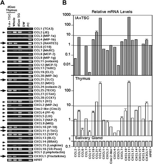 Figure 3. Expression of chemokine mRNAs by fetal thymi. (A) Semi-quantitative RT-PCR for mRNAs in I-A+ TSCs, whole dGuo-treated fetal thymus lobes, and dGuo-treated salivary gland lobes from E14.5 fetal mice. Adult TSC debris was used as positive control (PC), except adult thymocytes for CCL3, CCL9, CXCL11, CXCL16, and CX3CL1, E14.5 fetal skin for CXCL15, E14.5 fetal gut for CCL28, and adult spleen cells for CXCL7. DW indicates distilled water. Large arrows indicate molecular species that are prominently expressed at higher levels in I-A+ TSCs and whole dGuo-treated fetal thymus lobes than in dGuo-treated salivary gland lobes. Small arrows indicate molecular species that are detected in I-A+ TSCs and whole dGuo-treated fetal thymus lobes irrespective of the detected levels in dGuo-treated salivary gland lobes. (B) Real-time RT-PCR quantification of mRNA levels of chemokines indicated by arrows in panel A. Signal levels relative to HPRT levels were normalized to the levels in salivary gland. Means and SEs are indicated.