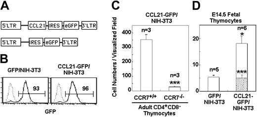 Figure 6. Attraction of fetal thymocytes to CCL21-transfected NIH-3T3 cells. (A) Diagram of pMRX-CCL21-IRES-GFP and pMRX-IRES-GFP constructs. (B) Retroviruses expressing either GFP alone or CCL21 along with GFP were infected into NIH-3T3 cells. GFP+ cells sorted by flow cytometry were reanalyzed for GFP expression. Numbers indicate frequency of cells within marked area. (C) CCL21-GFP–infected NIH-3T3 cells were examined for the production of functional CCL21. Reaggregated CCL21-GFP–infected NIH-3T3 cells (5 × 105) were examined for the attraction of adult CD4+CD8– thymocytes from wild-type or CCR7-deficient mice. Means and SEs of attracted cell numbers are indicated (***P < .001). (D) Reaggregates of either CCL21-GFP–infected NIH-3T3 cells or GFP-infected NIH-3T3 cells were examined for the attraction of E14.5 fetal thymocytes. Means and SEs of the numbers of cells that moved out of the cell spot (□) and reached the cell reaggregate (▧) were determined in visualized field (*P < .05; ***P < .001).