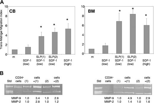 Figure 6. Stimulation of SDF-1–dependent trans-Matrigel migration of CB and BM CD34+ cells and MMP secretion by SLPs. (A) CB and BM CD34+ cells preincubated with SLPs from 2 patients1,2 were loaded into Boyden chambers and allowed to migrate toward a low (20 ng/mL) SDF-1 gradient in a trans-Matrigel assay. Unstimulated cells migrated across Matrigel toward media alone (control) or toward low or high (300 ng/mL) SDF-1 gradients. Each experiment was performed in triplicate using 4 chambers for each condition (*P < .0003). (B) Media conditioned by CB and BM CD34+ cells preincubated with SLP from patients 1 and 2 were analyzed by zymography. Bands indicating MMP-9 and MMP-2 activity were quantitated by densitometric analysis, and fold-increase in the presence of SLP was calculated relative to the control (SLP alone). Each experiment was performed 3 times, and representative data are shown.