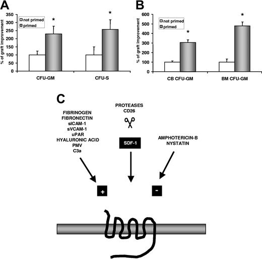 Figure 7. Priming of HSPC as a new strategy to enhance the efficiency of transplantation. (A) SLPs primed homing of murine CFU-GM and CFU-S into bone marrow of lethally irradiated mice. Murine BM-derived Sca-1+ cells (105/mouse) were transplanted into lethally irradiated syngeneic mice. Sixteen hours after transplantation, cells were recovered from the femurs and were assayed in secondary cultures for the number of clonogenic CFU-GMs (left panel) and for transplantation into secondarily irradiated animals for the number of day-12 CFU-Ss (right panel). Data are pooled from 3 independent experiments using 10 mice each per tested cells (n = 30) (*P < .0001). No HSPCs were recovered from the marrow cavities of control animals (irradiation; no transplantation). (B) SLPs primed homing of human CB and BM CD34+ cells into the bone marrow of lethally irradiated NOD/SCID mice 16 hours after transplantation of human CD34+ cells (106)/animal. Mice were killed, and CFU-GM colonies were assayed in methylcellulose cultures. Data are pooled from independent experiments performed on 3 different CB and 3 different BM samples (2-4 mice/tested cell sample) (P < .0001). (C) Schema of SDF-1–CXCR4 axis modulation by various factors. The SDF-1–CXCR4 axis is modulated by various external factors that target, on the one hand, SDF-1 or the N-terminus of CXCR4, which are cleaved by leukocyte-derived proteases, MMPs, or cell surface–expressed CD26/dipeptidylpeptidase IV, and, on the other hand, the SDF-1–CXCR4 axis, which can be primed positively (eg, by PMV, C3a, des-Arg C3a, thrombin, uPAR, fibrinogen, fibronectin, hyaluronic acid, soluble ICAM-1, soluble VCAM-1) or negatively (eg, by polyene antibiotics). Several of these molecules can also be found in tissues affected by inflammation and can modulate the responsiveness of CXCR4+ cells to an SDF-1 gradient.