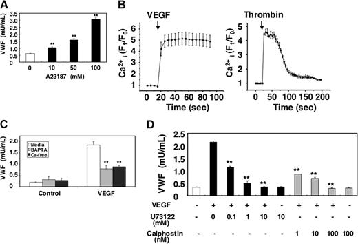Figure 3. Long-term treatment with VEGF inhibits VEGF-induced exocytosis. (A) The calcium ionophore A23187 activates VWF release from endothelial cells. HAECs were incubated with A23187 for 1 hour. The amount of VWF released from cells into the media was measured by an ELISA (n = 3 ± SD; **P < .01 versus 0 μM). (B) VEGF increases intracellular calcium levels. HAECs were incubated with the calcium indicator fluo-3AM for 20 minutes. The integrated fluo-3 fluorescence intensity of each cell was measured in real time after treatment with 50 ng/mL VEGF or 1 U/mL thrombin (n = 3 ± SD). (C) Calcium pools and VWF release from endothelial cells. HAECs were pretreated with 20 μM BAPTA/am for 30 minutes in DMEM or Ca2+-free DMEM and then incubated with 50 ng/mL VEGF for 1 hour. The amount of VWF released from cells into the media was measured by an ELISA (n = 3 ± SD; **P < .01 versus media + VEGF). (D) PLC and PKC inhibitors block VEGF-induced VWF release from endothelial cells. HAECs were pretreated with the PLC-γ inhibitor U73122 for 30 minutes or the PKC inhibitor calphostin C for 30 minutes and then incubated with 50 ng/mL VEGF for 1 hour. The amount of VWF released from cells into the media was measured by an ELISA (n = 3 ± SD; **P < .01 versus no inhibitor).