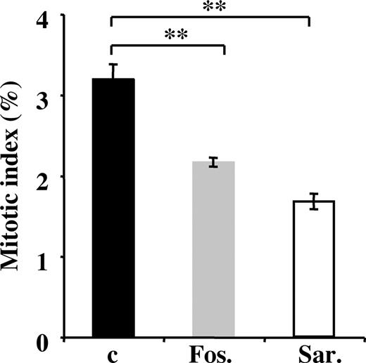 Figure 7. Effect of RAS blockers on erythroid cell proliferation. Percentage of mitotic erythroid cells in embryos treated with vehicle only (c, n = 8, ▪), fosinoprilate (Fos, n = 6, ), or Sar1-Ile8-Ang II (Sar, n = 7, □). Each bar is a mean ± SEM. **P < .002.