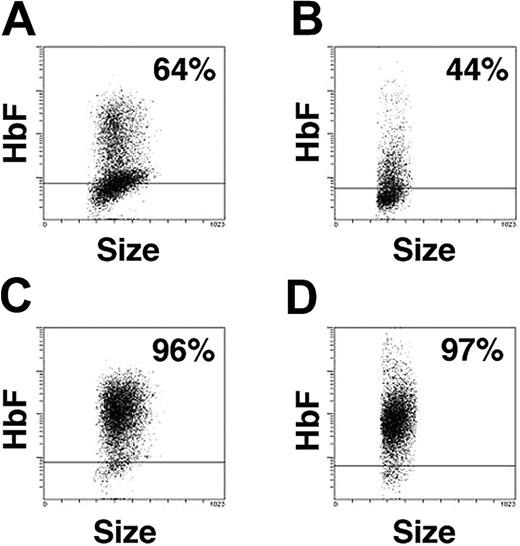 Figure 7. Cellular distribution of HbF. Flow cytometric analysis of cells cultured in EPO for (A) 7 days or (B) 14 days versus matched cultures in EST for (C) 7 days or (D) 14 days. The x-axis indicates the forward scatter of cells (size) and y-axis, the HbF fluorescence from the cells stained with anti-HbF antibodies. The horizontal bar marks the level of fluorescence 2 standard deviations above that of the isotypic controls. At least 5000 cells were analyzed in each sample. The percentage of HbF-positive cells is shown in the top right corner of each panel.