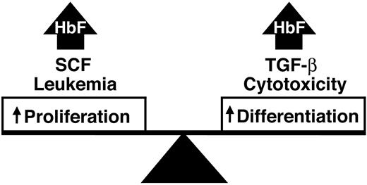 Figure 8. A model for stress-related or other elevations of HbF driven by a balanced increase in erythroid proliferation and differentiation.