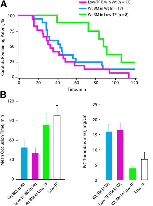 Figure 5. Carotid artery and venous thrombosis in mice receiving BM transplants. (A) The percentage of animals with patent arteries in each group are plotted in a Kaplan-Meier graph as a function of time after initiation of injury. (B) Mean occlusion times following arterial injury. (C) Thrombus mass after IVC ligation.